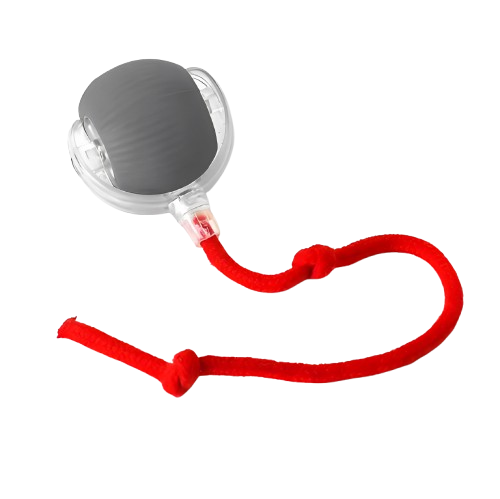 Bolinha interativa para pets