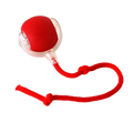 Bolinha interativa para pets