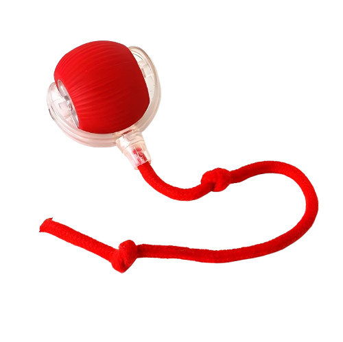 Bolinha interativa para pets