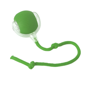 Bolinha interativa para pets