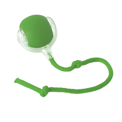 Bolinha interativa para pets