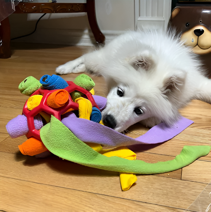 Petisco Secreto - Brinquedo Interativo para Cachorros
