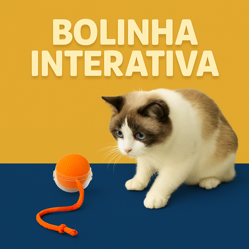 Bolinha interativa para pets