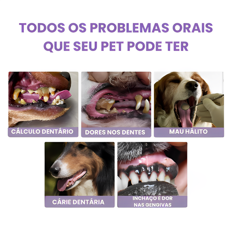 Gel Reparador Oral | Clareamento e Remoção de Tártaro