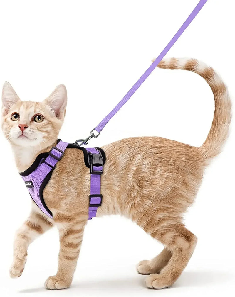 Colete para Gatos - A Prova de Fuga