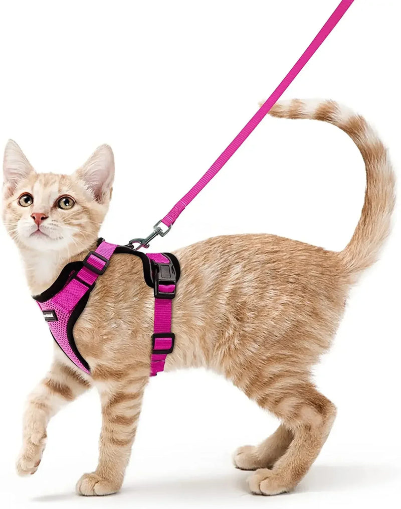 Colete para Gatos - A Prova de Fuga