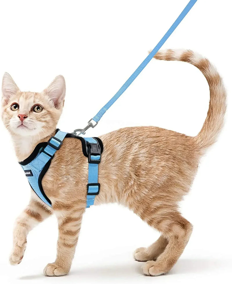 Colete para Gatos - A Prova de Fuga