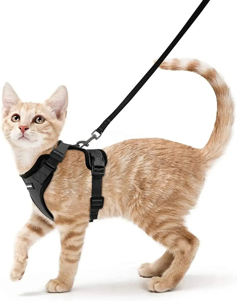 Colete para Gatos - A Prova de Fuga
