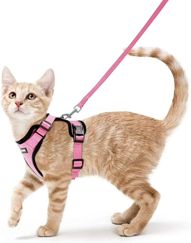 Colete para Gatos - A Prova de Fuga