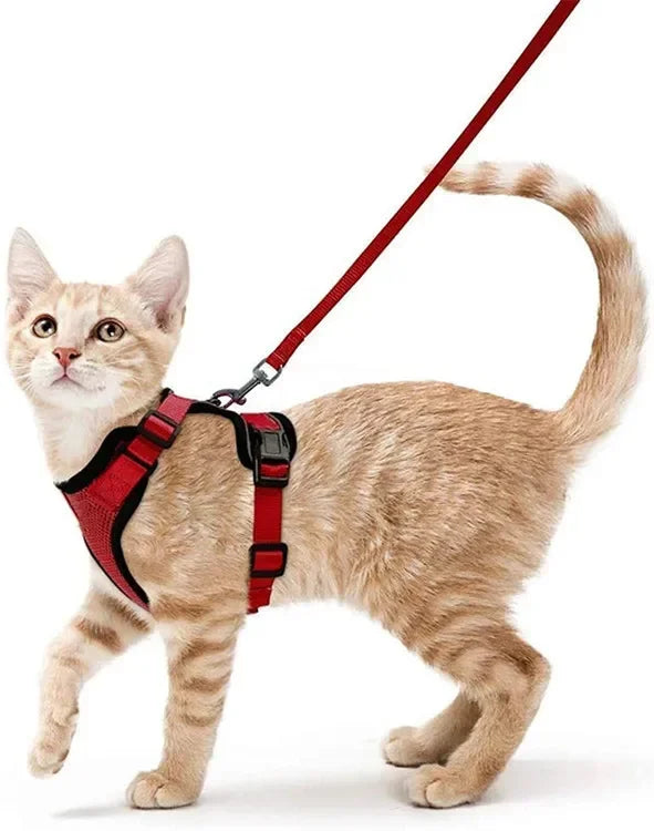 Colete para Gatos - A Prova de Fuga
