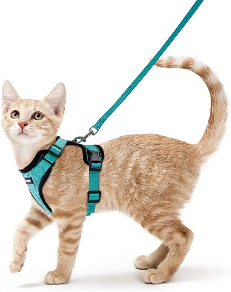 Colete para Gatos - A Prova de Fuga