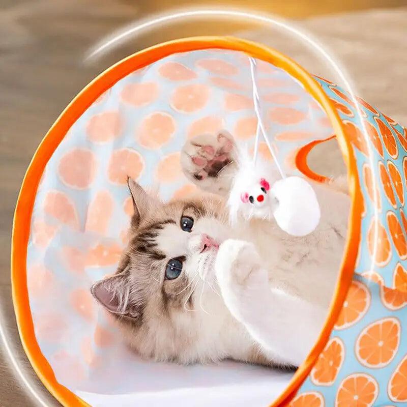 Bolsa interativa para gatos