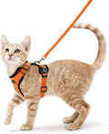 Colete para Gatos - A Prova de Fuga