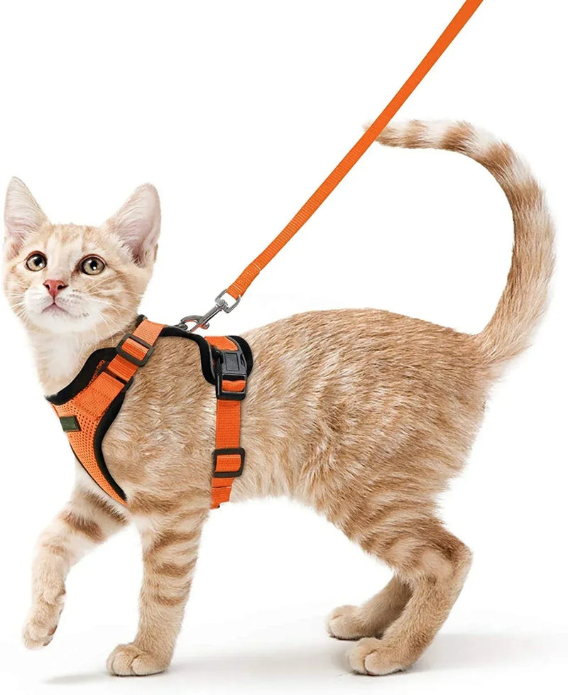 Colete para Gatos - A Prova de Fuga