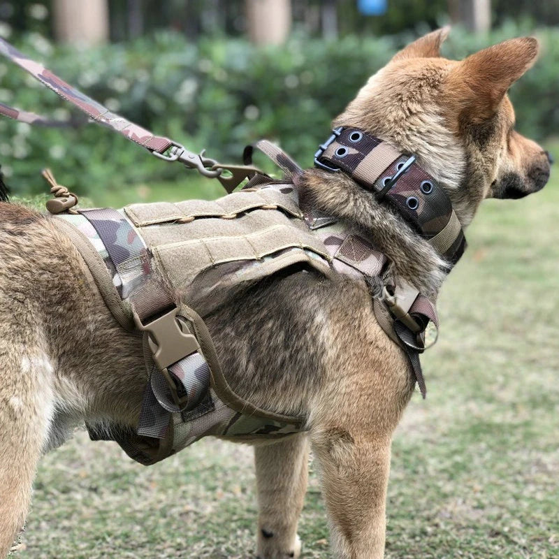 Peitoral para Cachorros - Dog Trainer