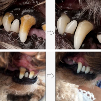 Caneta de cuidado dental