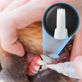 Caneta de Cuidado Dental
