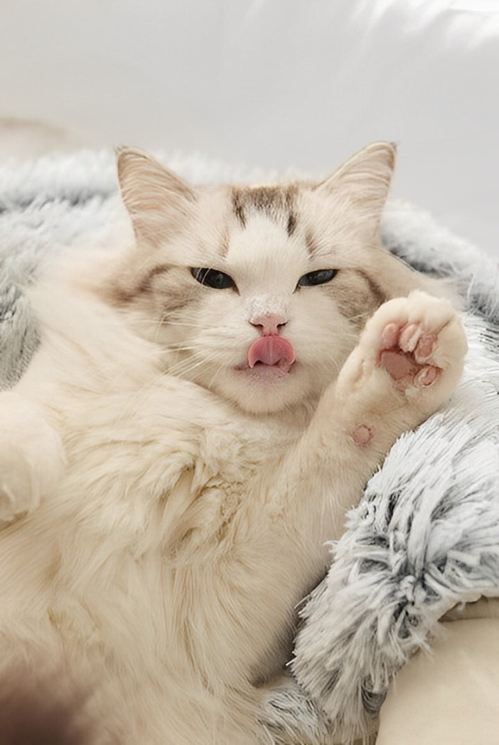 Cama Fluffy